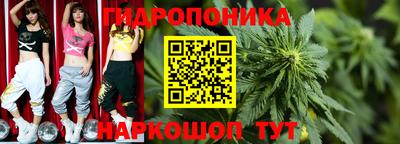крисы Тулун