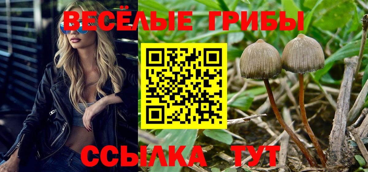 Псилоцибиновые грибы мухоморы  Вход с VPN  Вышний Волочёк 